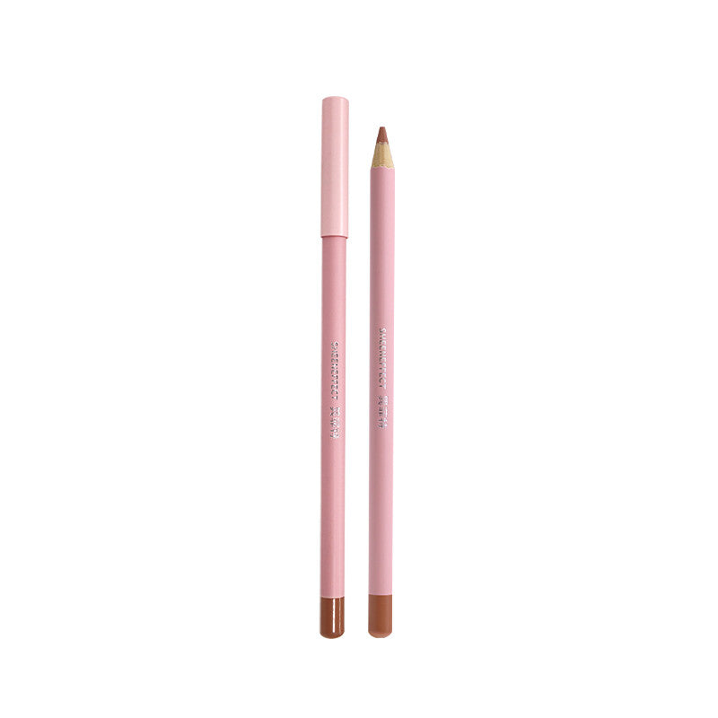 SheenEffect 3D Lip Sculpting Liner, defines lip shape, in a matte nude rose-pink shade